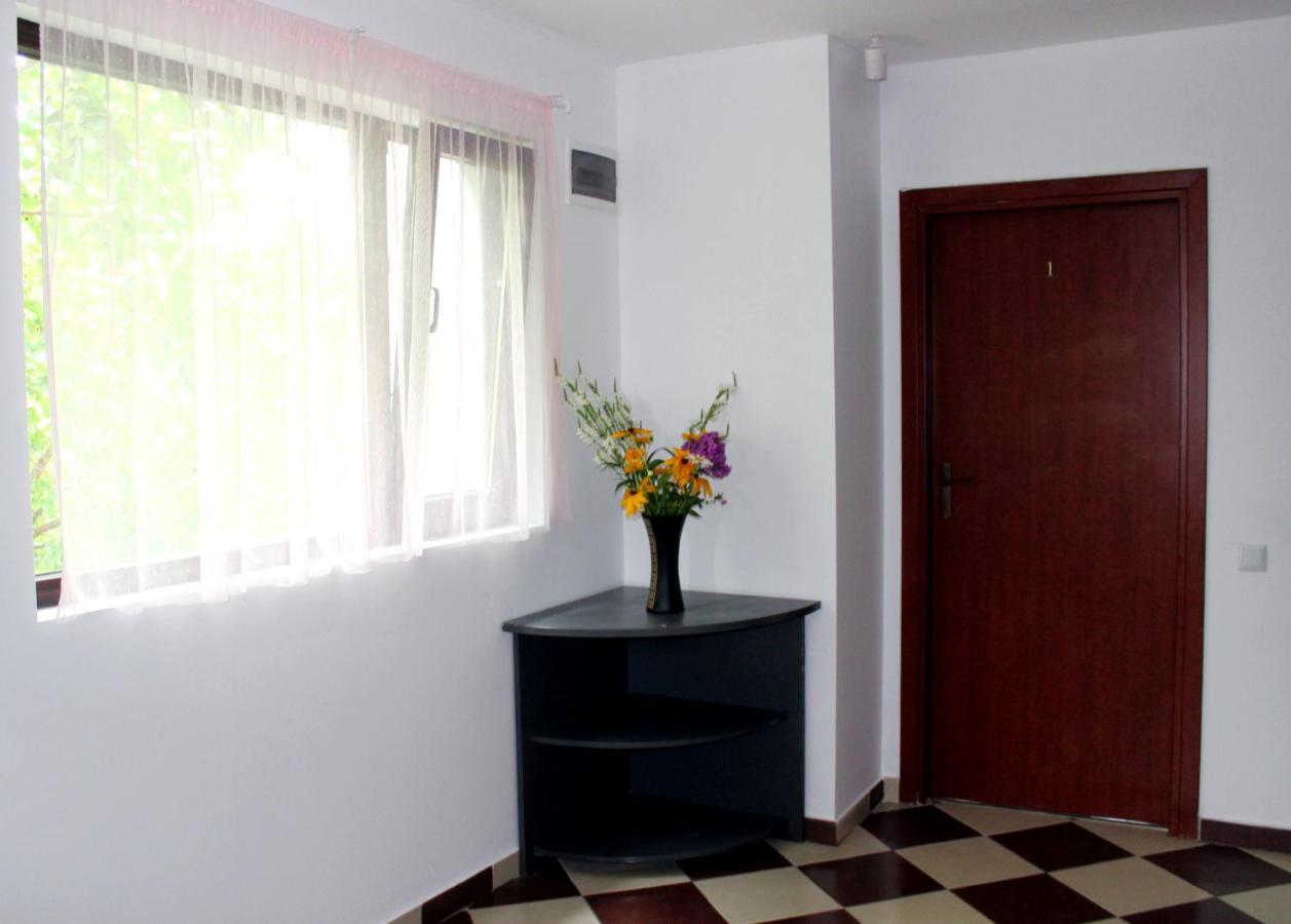 Hotel Anuta Breaza  Zewnętrze zdjęcie